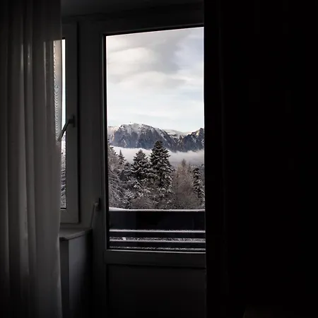 Guest house Edelweiss Predeal